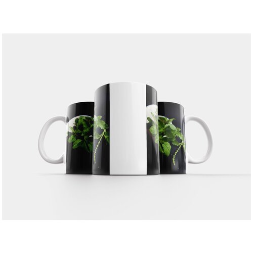 фото Кружка "тайский, святой базилик, трава" 320 мл lotsprints