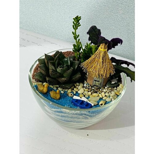 Флорариум Мини садик Подарок 3190₽