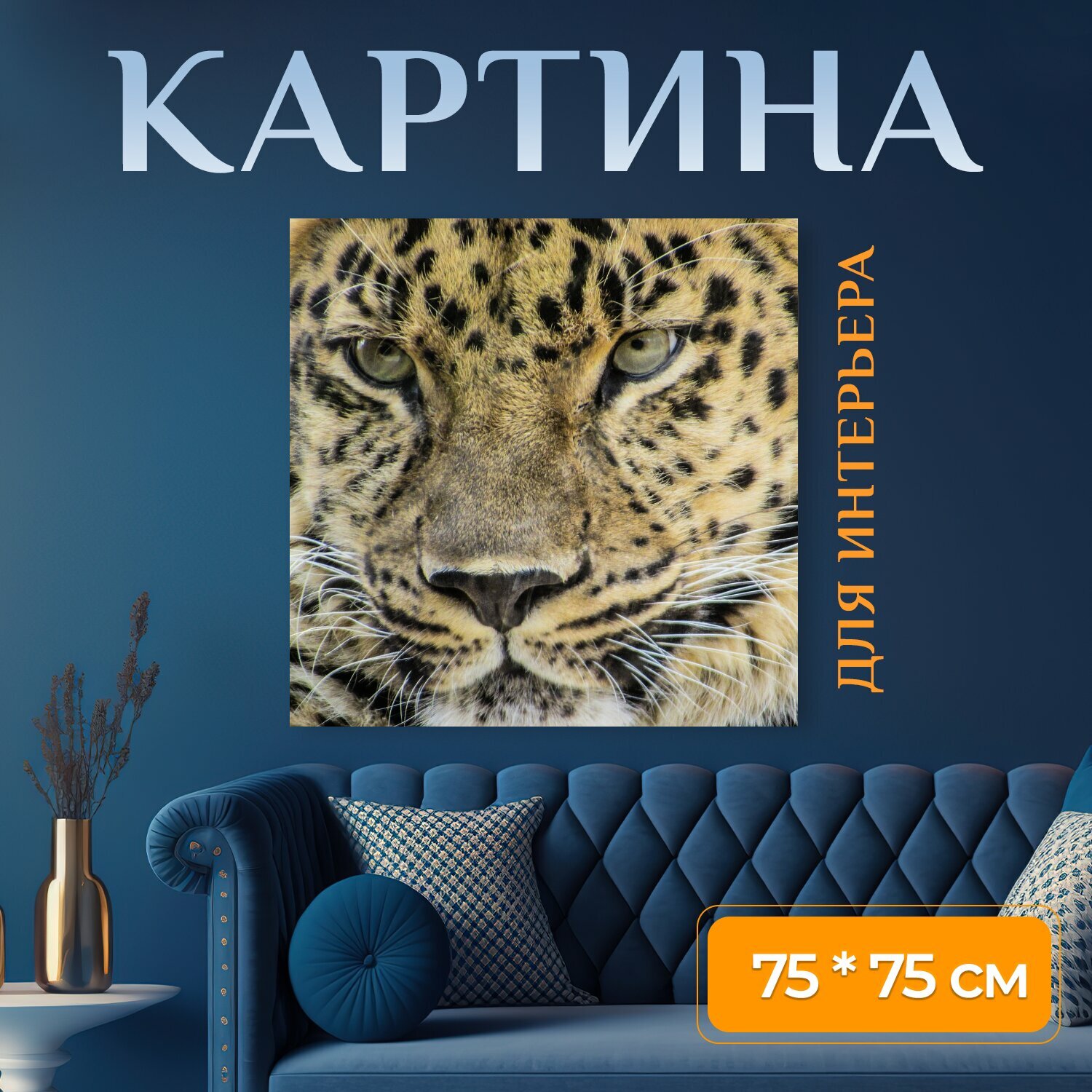 Картина на холсте "Зоопарк, леопард, кошка" на подрамнике 75х75 см. для интерьера