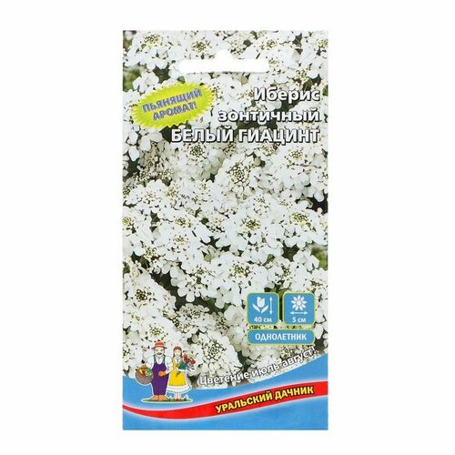 Семена Цветов Иберис зонтичный Белый Гиацинт ,0 ,15 г , ( 1 упаковка )