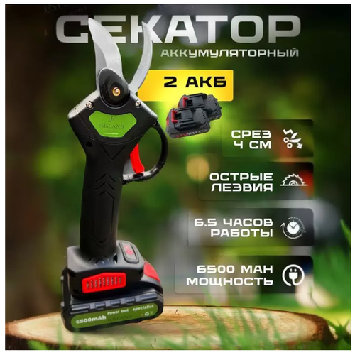 Аккумуляторный секатор ISISLAND 2 АКБ и кейс в комплекте 4960₽