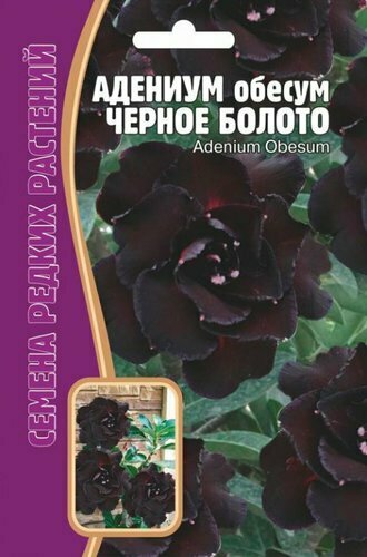 Семена Адениум 