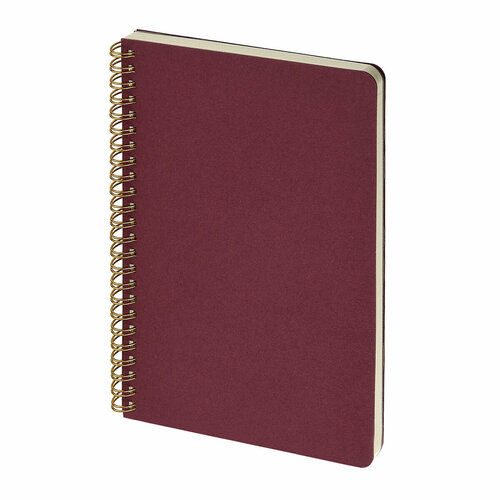 Бизнес тетрадь на гребне, А5, Bruno Visconti, 