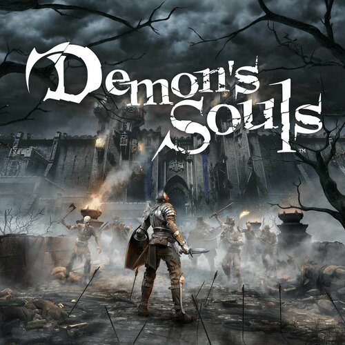 Видеоигра на PS5 Demons Souls игра Disk BD для PlayStation 5 4891₽