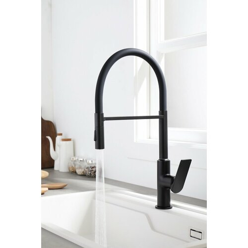 Ganzer GZ07126-C черный