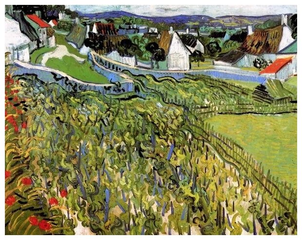 Репродукция на холсте Виноградник в Овере (Vineyards with a View of Auvers) Ван Гог Винсент 51см. x 40см.