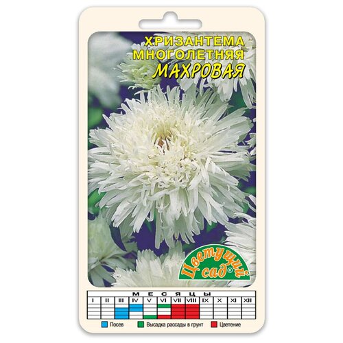 Цветы Хризантема многолетняя махровая БЕЛАЯ (Семена Цветущий сад 0,03 г) семена хризантема многолетняя махровая 3 упаковки 2 подарка
