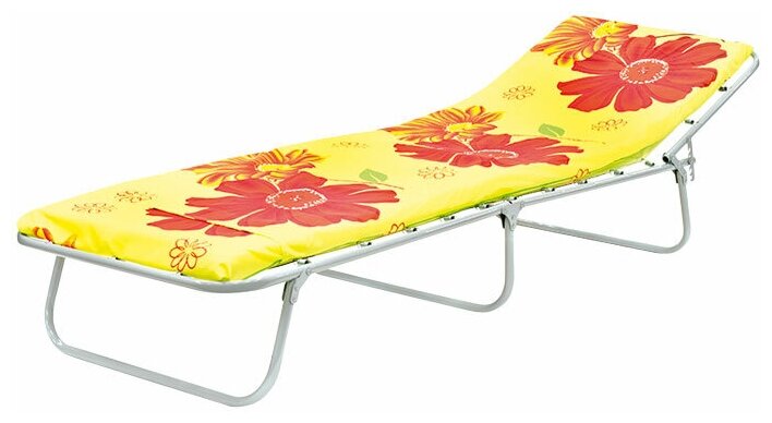 фото Раскладушка Эконом М60 Эконом М600 (раскладная кровать с матрасом и подголовником)