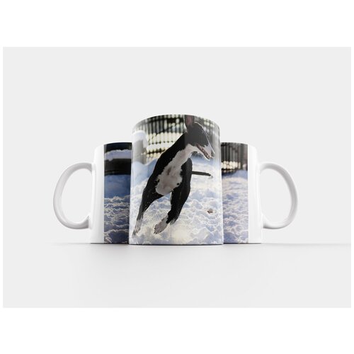 фото Кружка "борзые, зима, снег" 320 мл lotsprints