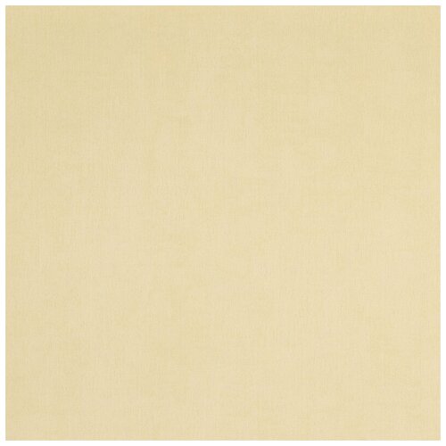 Обои Винил на флизелине Bn International BN-48445 1005 м 053 м 2950₽