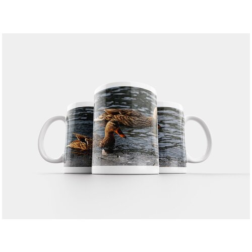 фото Кружка "утка, птица, дикая природа" 320 мл lotsprints