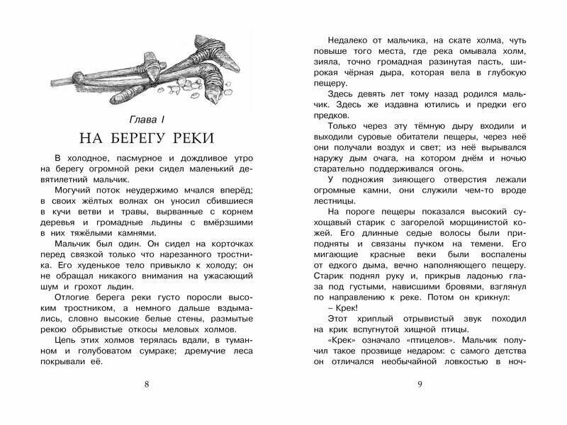 Приключения доисторического мальчика - фото №13