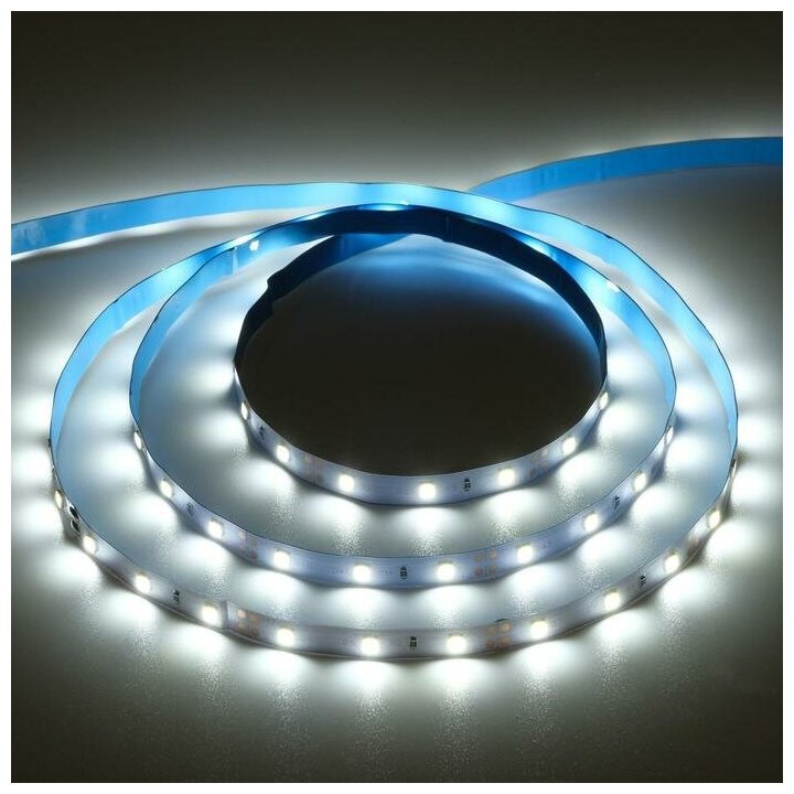 Ecola Лента св/д 12V 4.8W/m 60Led/m IP20 6000K 5м 360Lm/m 6K (интер) PRO SMD3528 P2LD05ESB