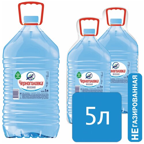 Квант продажи 2 ед. Вода негазированная питьевая черноголовка, 5 л