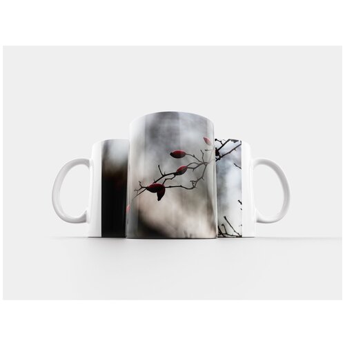 фото Кружка "шиповник, ягоды, красный" 320 мл lotsprints