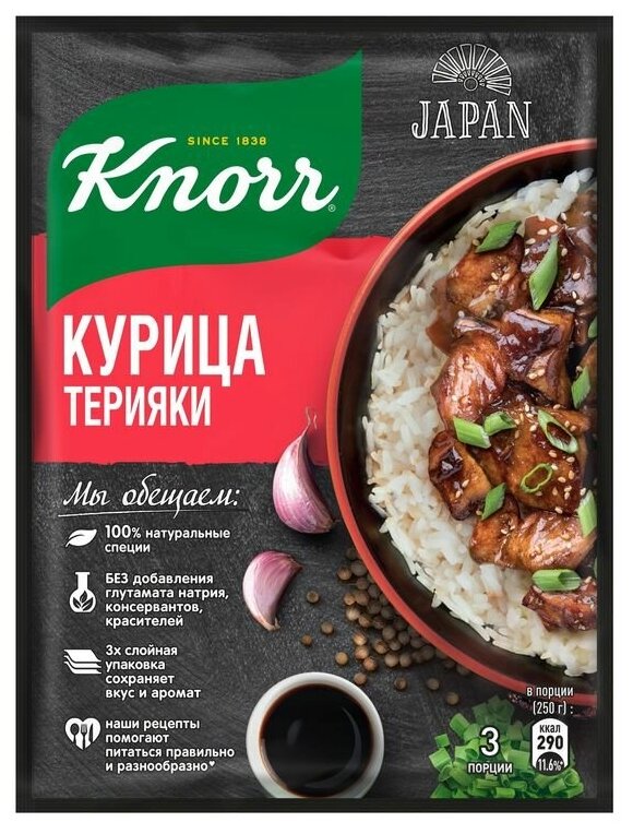 Смесь для приготовления курицы Терияки Knorr На Второе