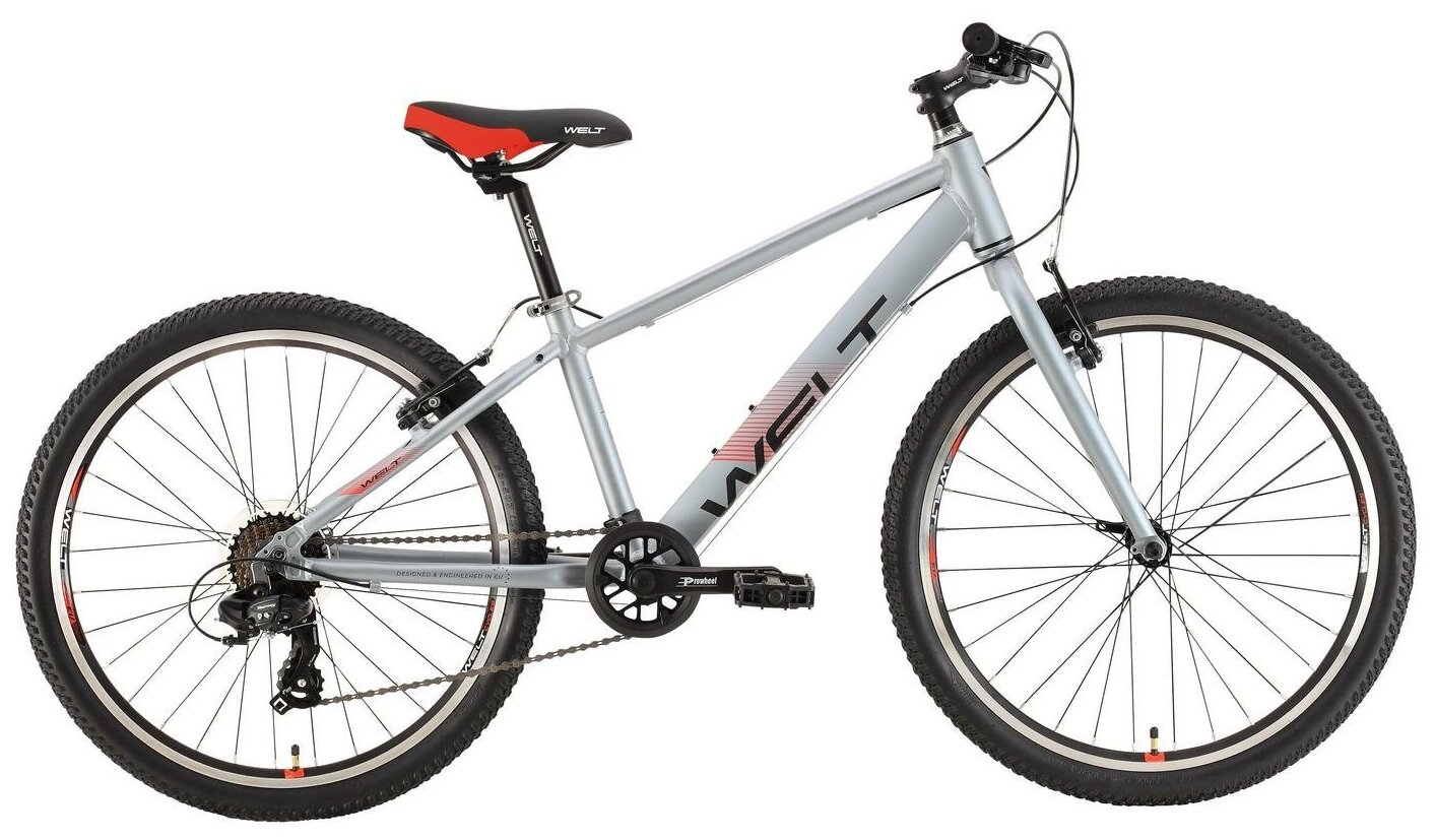 Велосипед Welt Peak 24 R metal grey (2021) 24