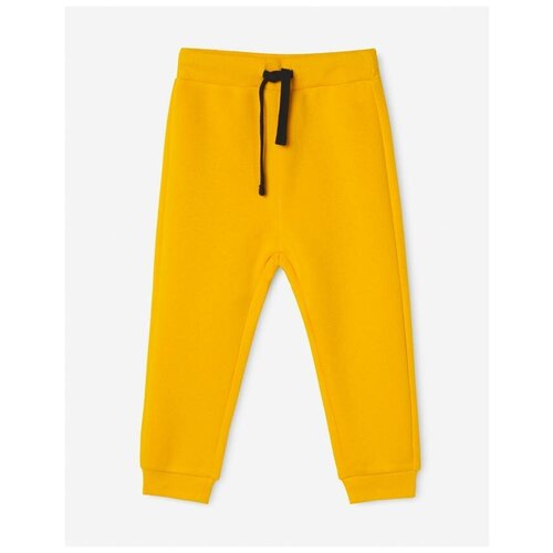 фото Жёлтые спортивные брюки jogger для мальчика gloria jeans