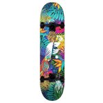 Скейтборд В Сборе Footwork Tropical 8X31.5 - изображение