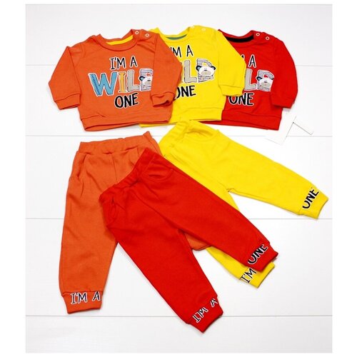 фото Комплект для младенца "надпись" - теракот (толстовка+штанишки) р.(68-80) арт.209526-2 (терракот; 80-86 (детский)) elsi