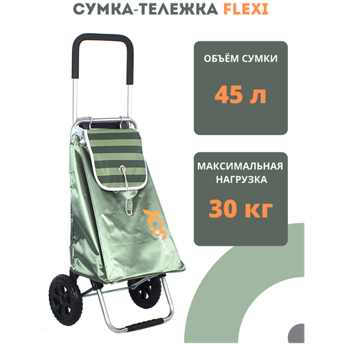 Сумка-тележка Joy Home, 45 л, 39.5х66х32 см, ручная кладь, зеленый, черный