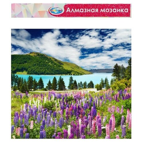 Алмазная мозаика б/подр, частич. заполн. Пейзаж с озером 40*50 9491145