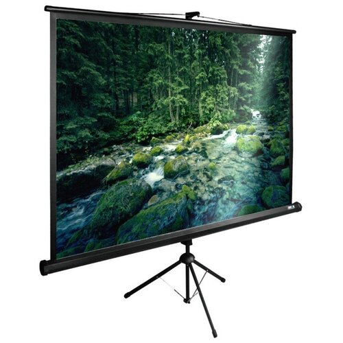 Экран Cactus 165x220см TriExpert 4:3 напольный рулонный черный CS-PSTE-220X165-BK
