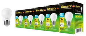 Комплект из 5 светодиодных энергосберегающих ламп Sholtz шар G45 9Вт E27 4000К 220В пластик (Шольц) LEB3049P