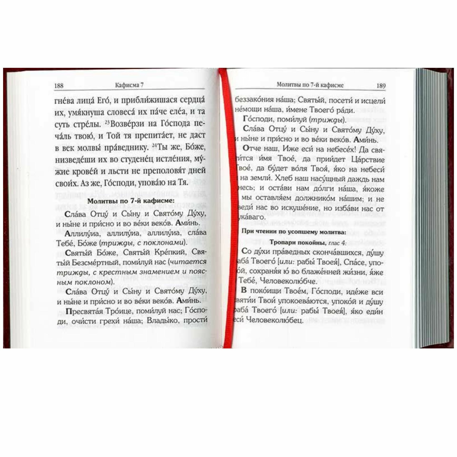 Псалтирь с поминовением живых и усопших. С толкованием Евфимия Зигабена. С указанием порядка чтения псалмов на всякую потребу. С келейным правилом преп. Серафима Саровского и чином чтения 12 псалмов - фото №9