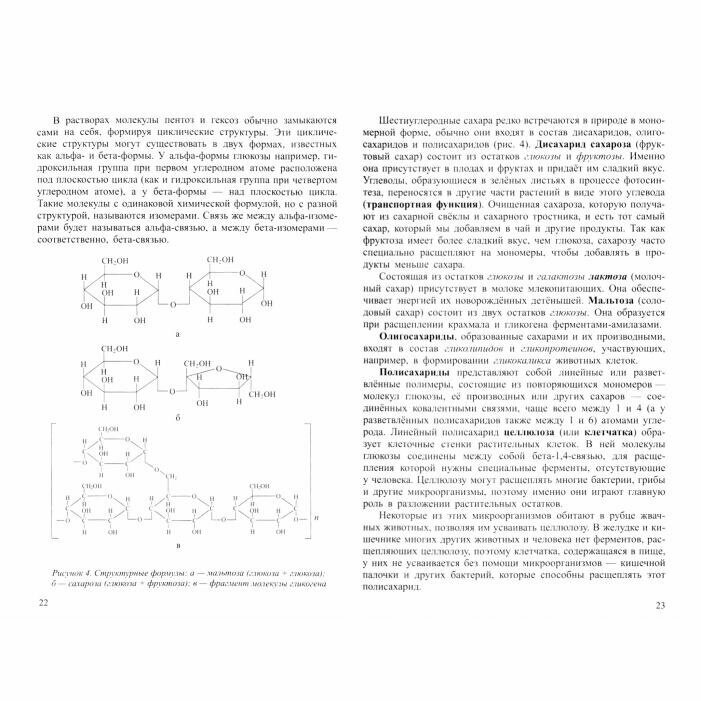 Общая биология. Часть I. Основы цитологии. Основы цитологии. Размножение и развитие. Основы генетики - фото №17