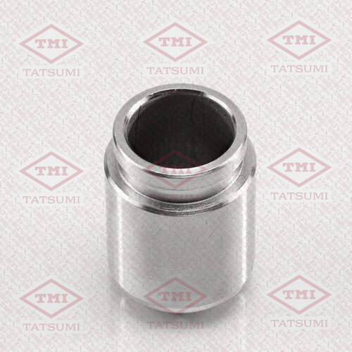 Поршень переднего тормозного суппорта TMI TATSUMI TCG1009 1194₽