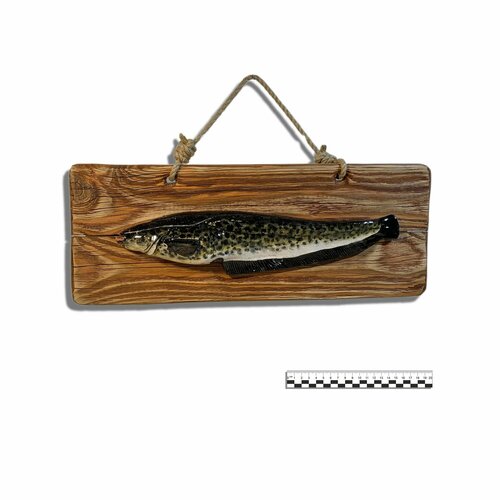 Настенная статуэтка сома исп.4