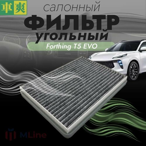 Фильтр салона угольный Che Shuang CCC210k для Forthing T5 EVO 745₽