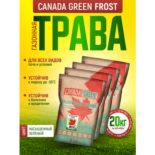 Газонная трава семена Канада Грин Морозостойкая 20 кг/ Canada Green Frost 20 кг/ райграс, кострец, овсяница