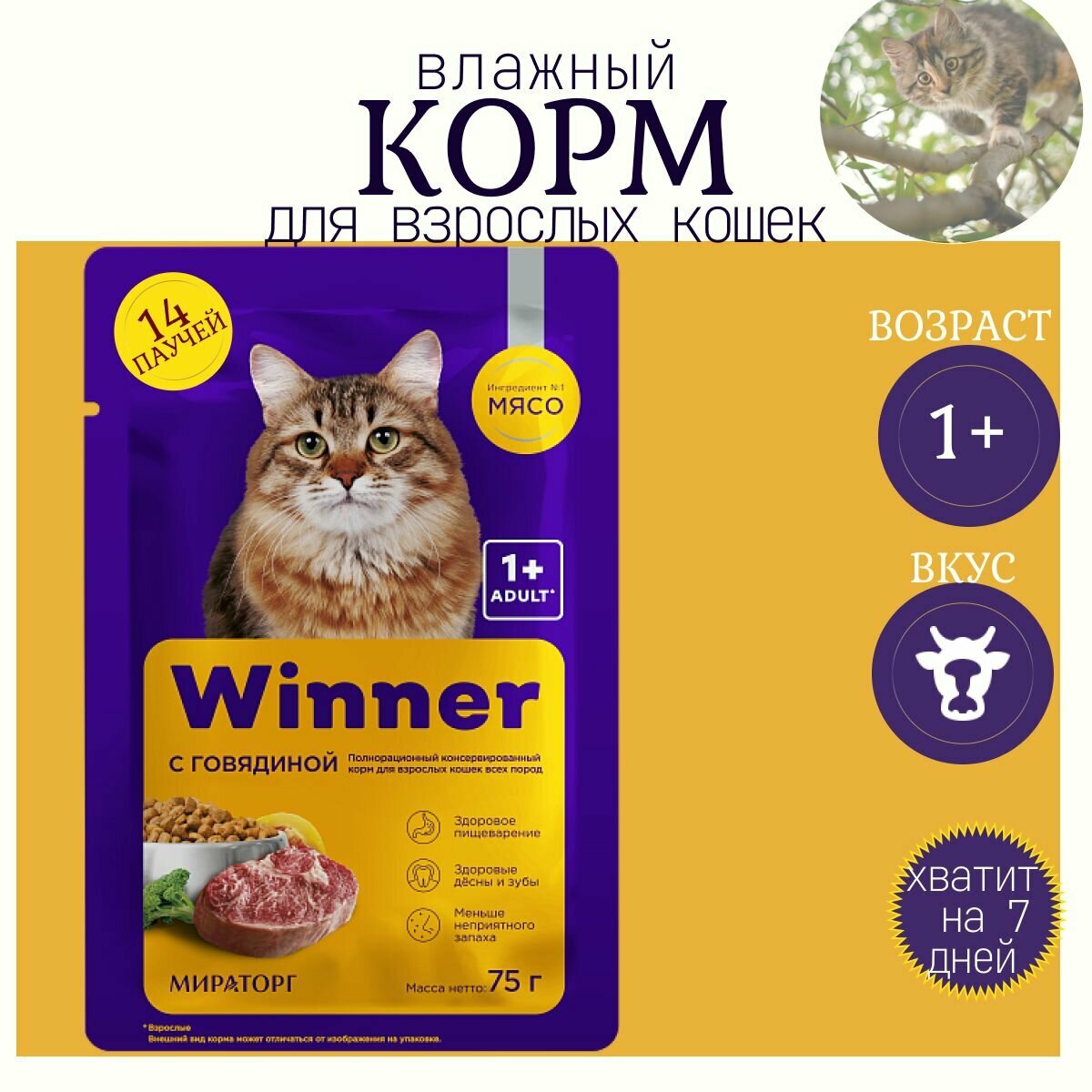фото Корм влажный для кошек Winner с говядиной в соусе / 14 пакетиков
