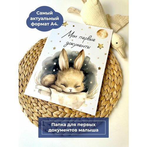 Мистер слон Папка мои первые документы 