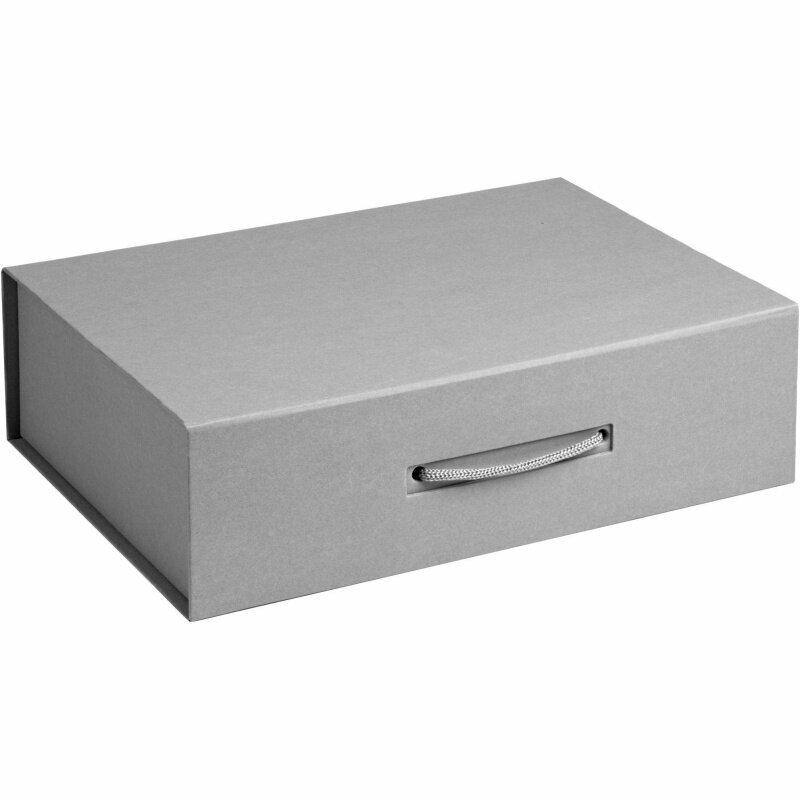 Коробка подарочная Проект 111 Case, 33,8х23,2х9,4 см, серая матовая (1142.11)
