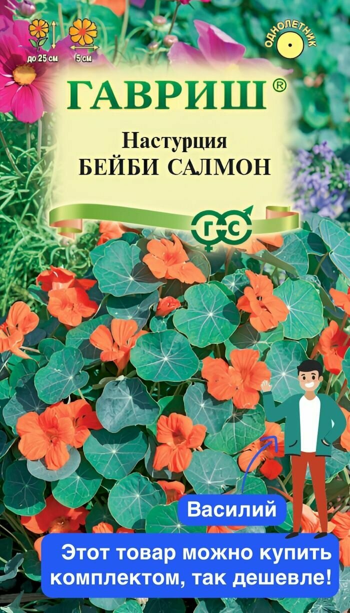 Цветы Настурция Бейби салмон