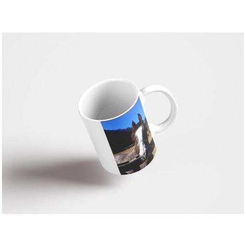 фото Кружка "лошадь, ферма, верховая езда 320 мл. белая lotsprints