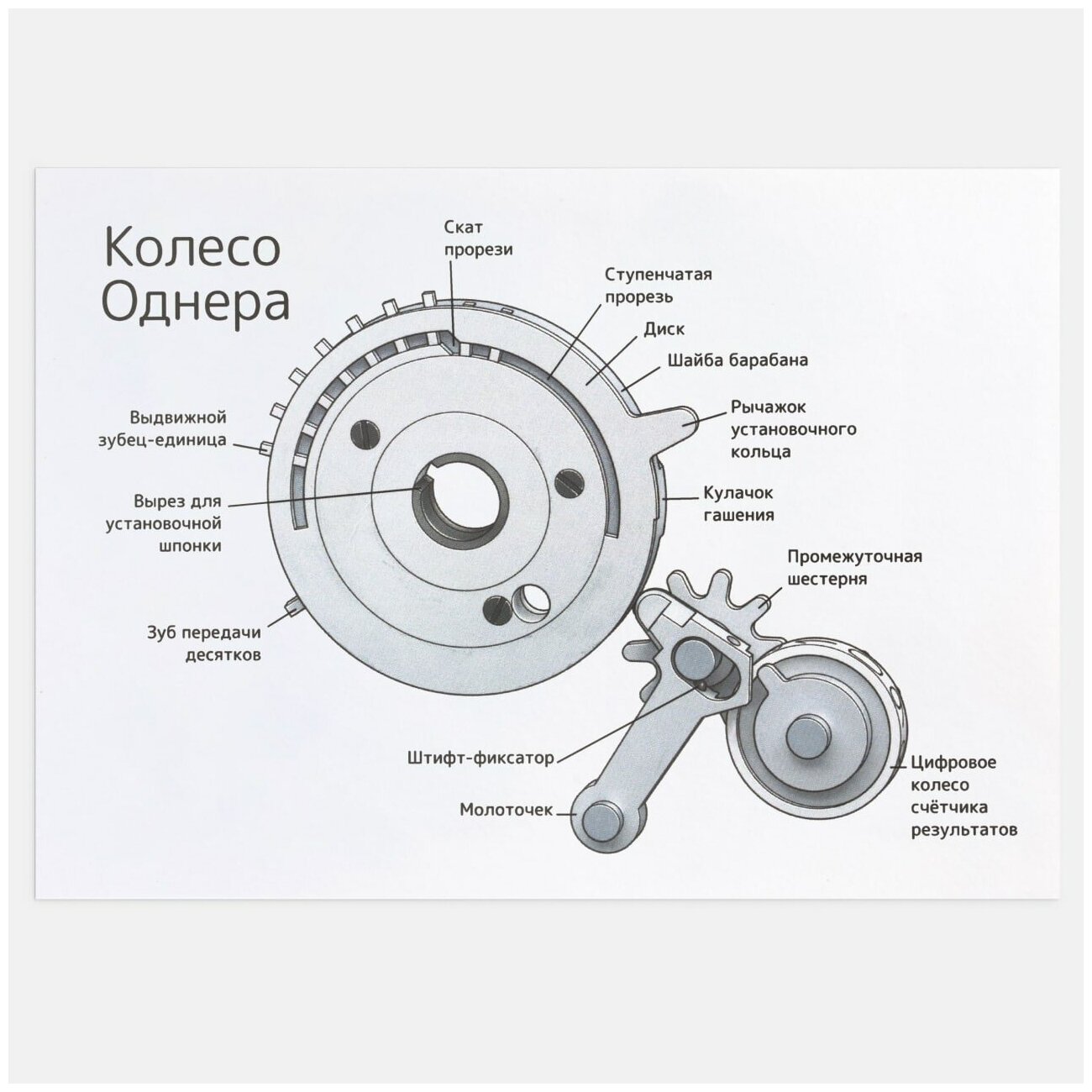 Открытка «Колесо Однера»