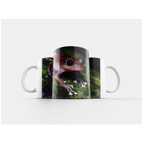 фото Кружка "guajon, лягушка, дерево" 320 мл lotsprints