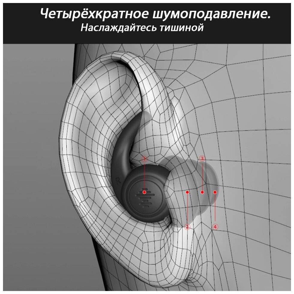 Беруши фиолетовые 3-х мембранные Franzhoff "Плавник ската" - фотография № 2