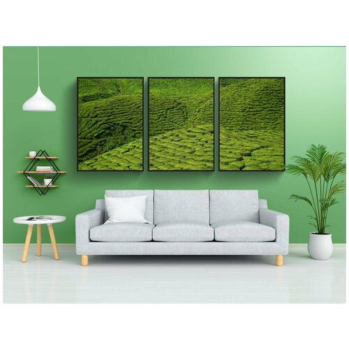 фото Набор модулных постеров для интерьера "чай, трава, зеленый" 60x90 см. в тубусе, без рамки lotsprints