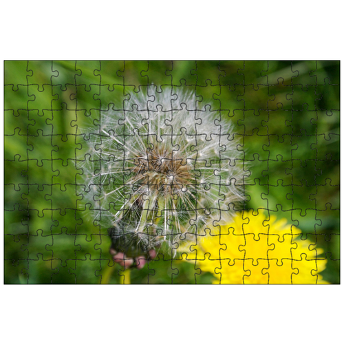 фото Магнитный пазл 27x18см."одуванчик, часы, природа" на холодильник lotsprints