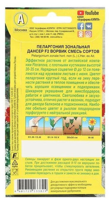 Агрофирма аэлита Семена цветов Пеларгония "Дансер Ворвик", смесь окрасок, F2, 5 шт.