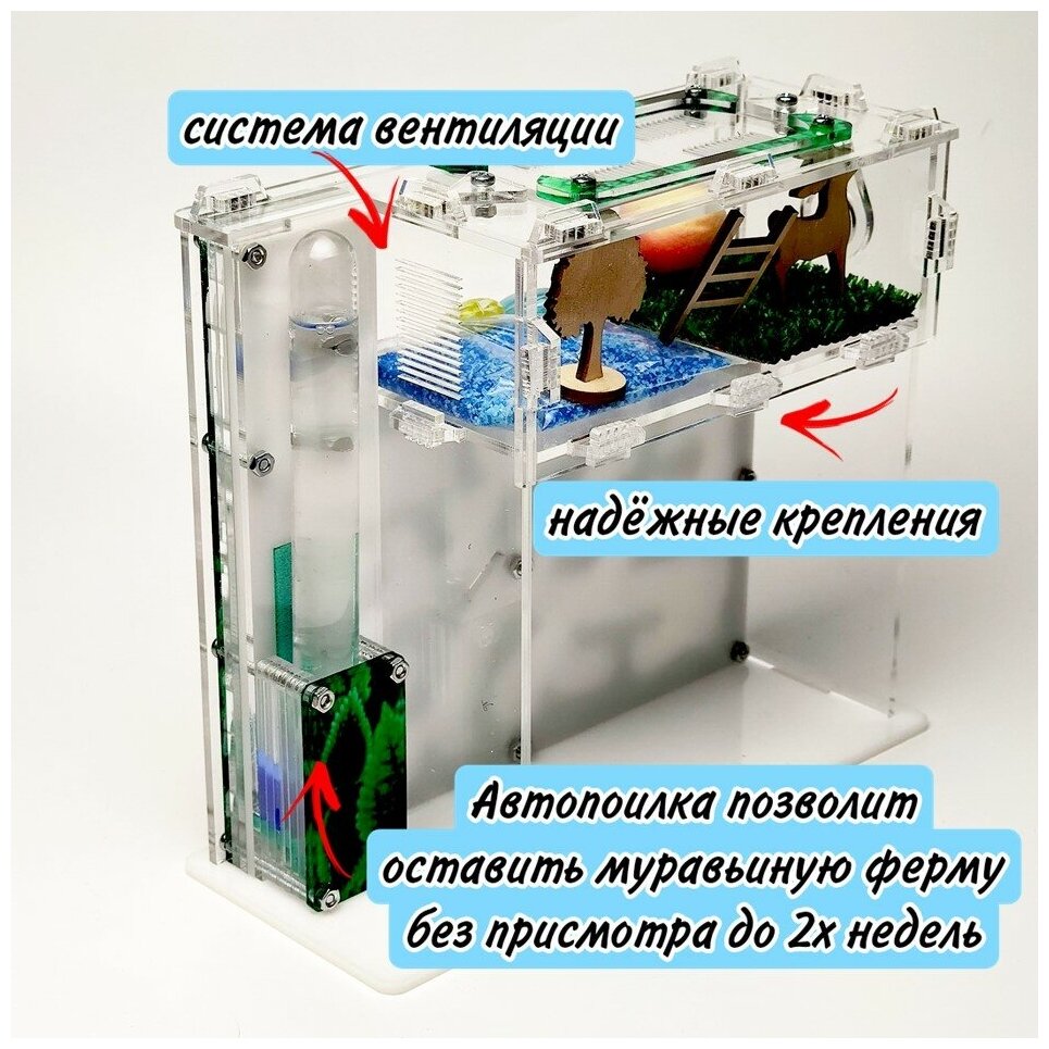 Вертикальная муравьиная ферма "Мята" XL 17х19см Большой набор - фотография № 4