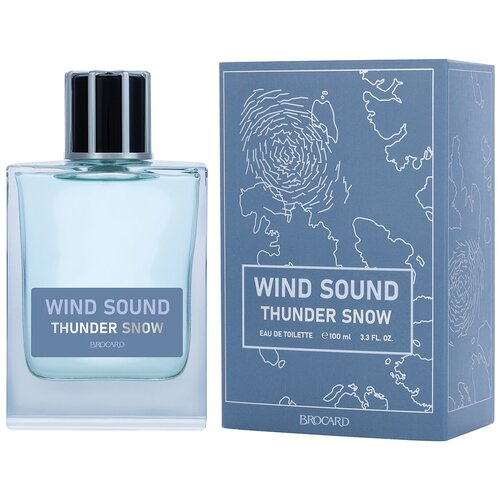 Мужская туалетная вода Brocard Wind Sound. Thunder Snow 100 мл