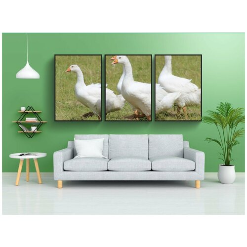 фото Набор модулных постеров для интерьера "гуси, гусей, белый" 60x90 см. в тубусе, без рамки lotsprints