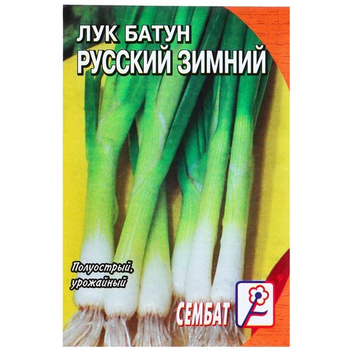 Семена Лук батун Русский зимний, 1 г семена лук русский зимний батун 1 г 2 шт