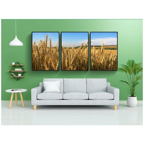 фото Набор модулных постеров для интерьера "поле, пшеница, klosova" 60x90 см. в тубусе, без рамки lotsprints